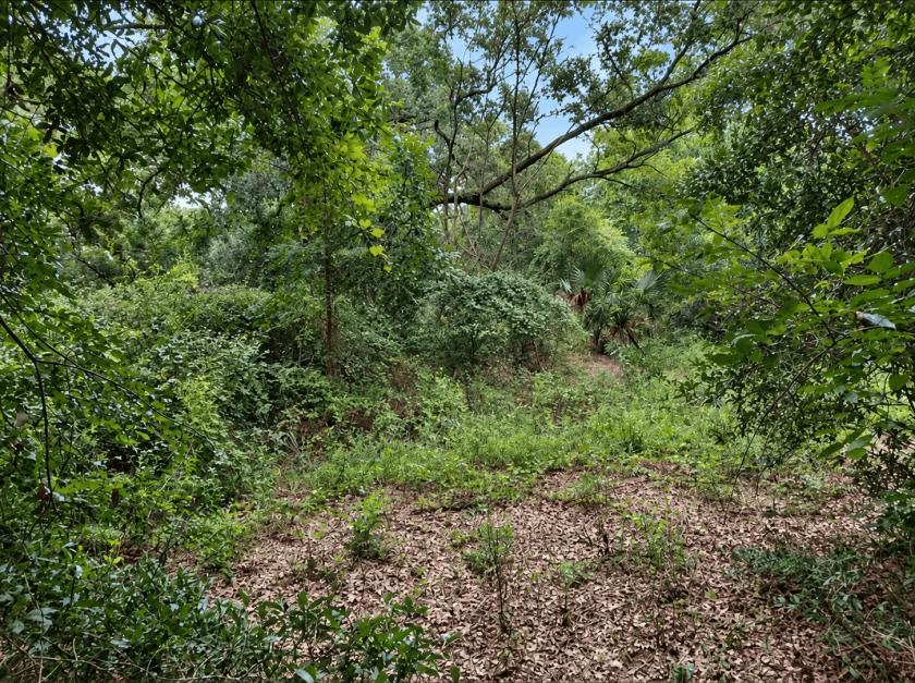0.18-Acre Residential Land for Sale in Ocklawaha, FL - $18,000 | Owner Financing