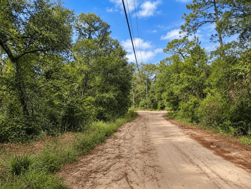 0.45 Acres for Sale in Ocklawaha, Florida