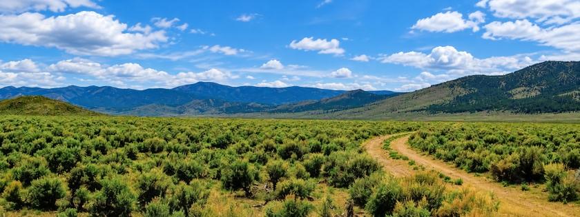 46 Acres for Sale in Lovelock, Nevada