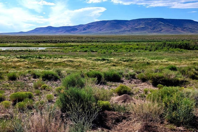 0.25 Acres for Sale in Mesita, Colorado
