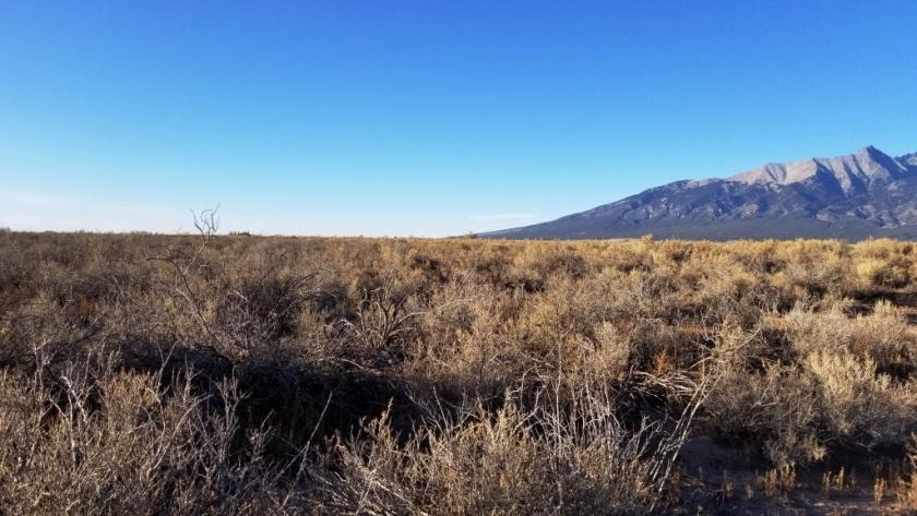 0.16 Acres for Sale in Blanca, Colorado