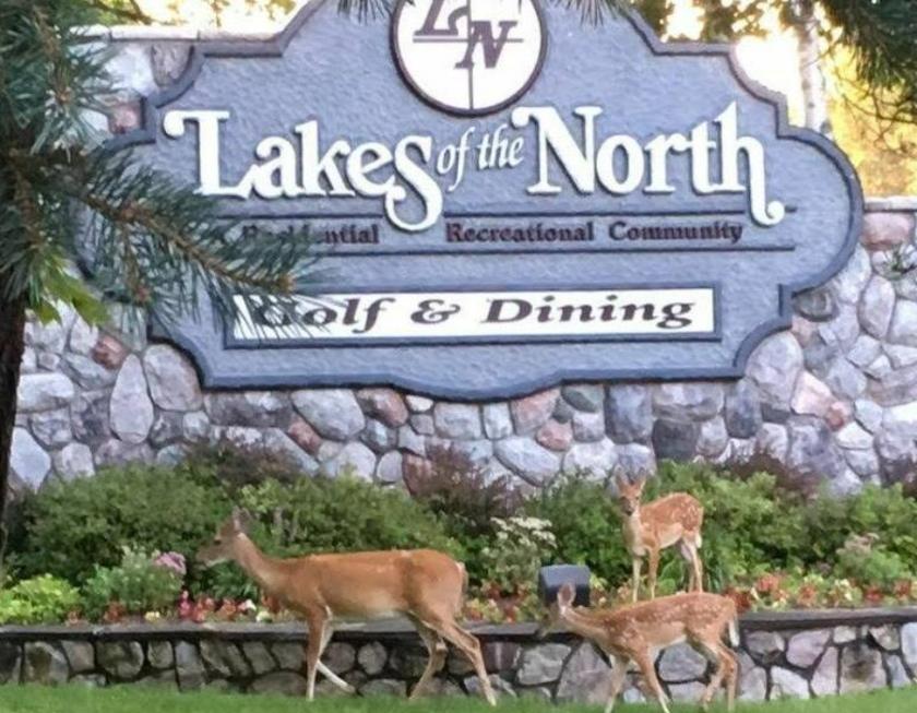 0.56 Acres for Sale in Mancelona, Michigan
