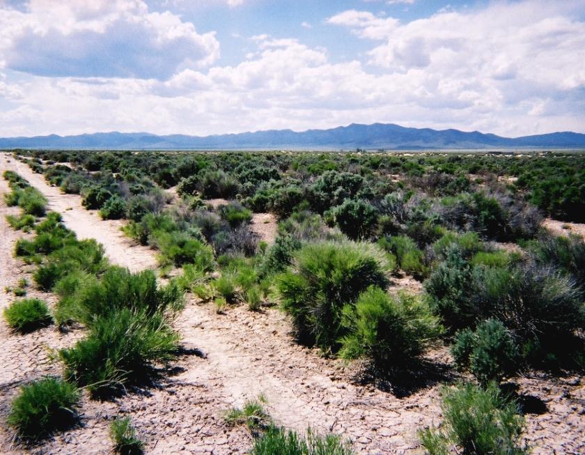 0.32 Acres for Sale in Beryl, Utah