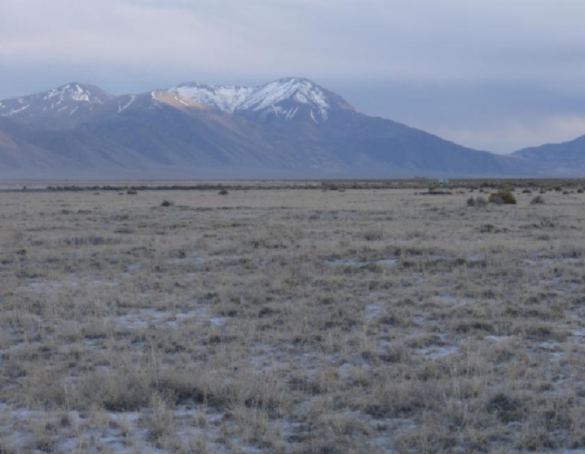 40 Acres for Sale in Crescent Valley, Nevada