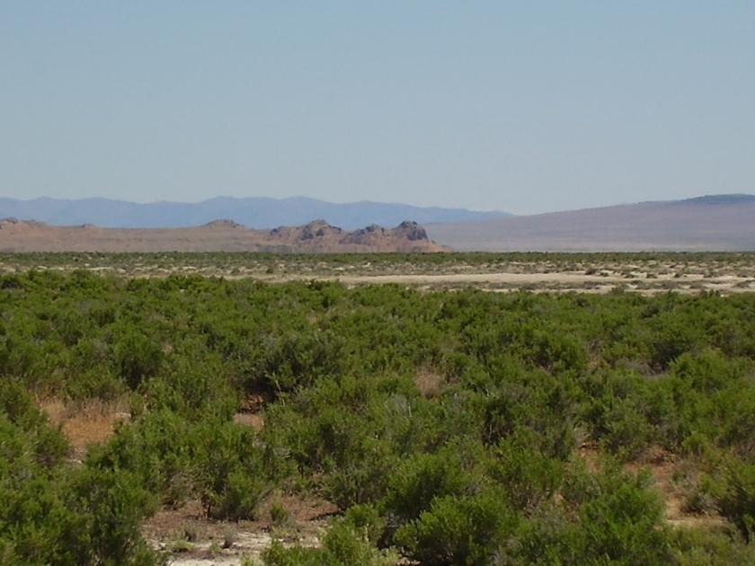 79.79 Acres for Sale in Park Valley, Utah