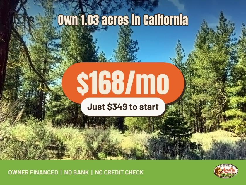 1.03-Acre Residential Land for Sale in Alturas, CA - $99 | Owner Financing