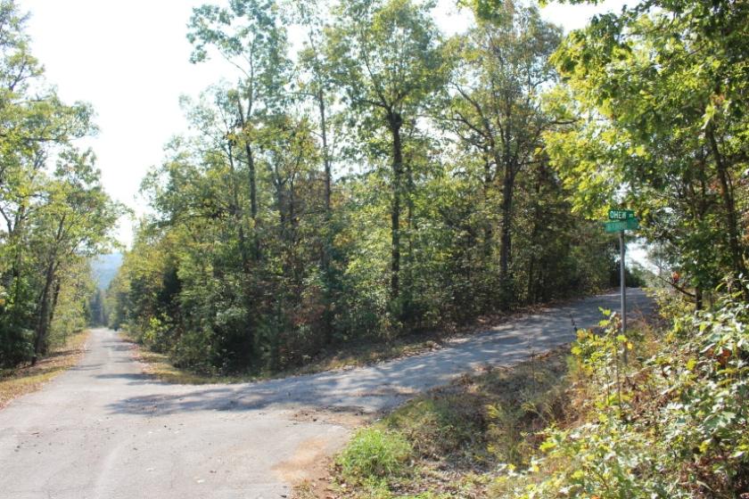 0.47-Acre Residential Land for Sale in Cherokee Village, AR - $0 Down Owner Financing