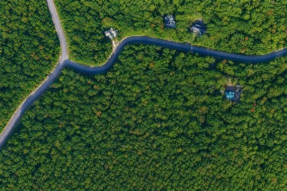 Jasper, GA Land for Sale: 3.89 Acres on Ridgeside Ct with Paved Road Access