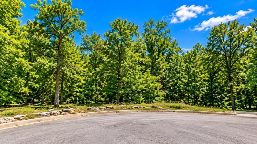 0.35-Acre Residential Land for Sale in Cherokee Village, AR - $798 | City Utilities