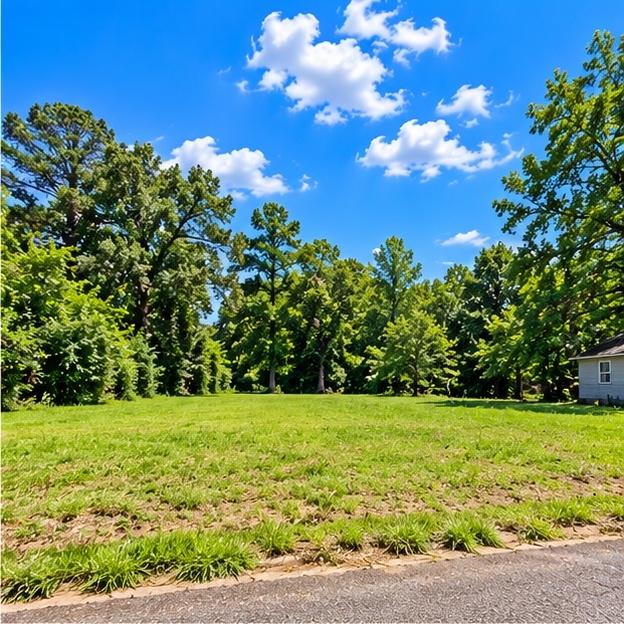 0.3-Acre Residential Land for Sale in Pine Bluff, AR - $819 | City Utilities
