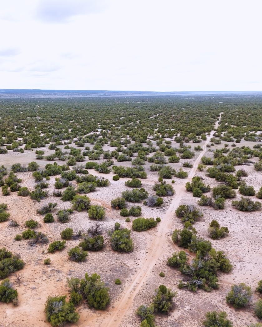 2.5-Acre Recreational Land for Sale in Sanders, AZ - $299 Down, $129/mo Owner Financing