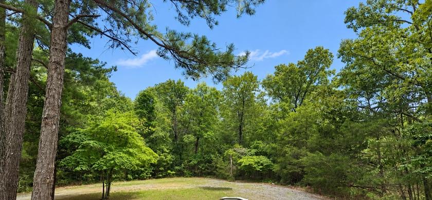 0.38-Acre Residential Land for Sale in Aztec Lake, AR - $868 | City Utilities