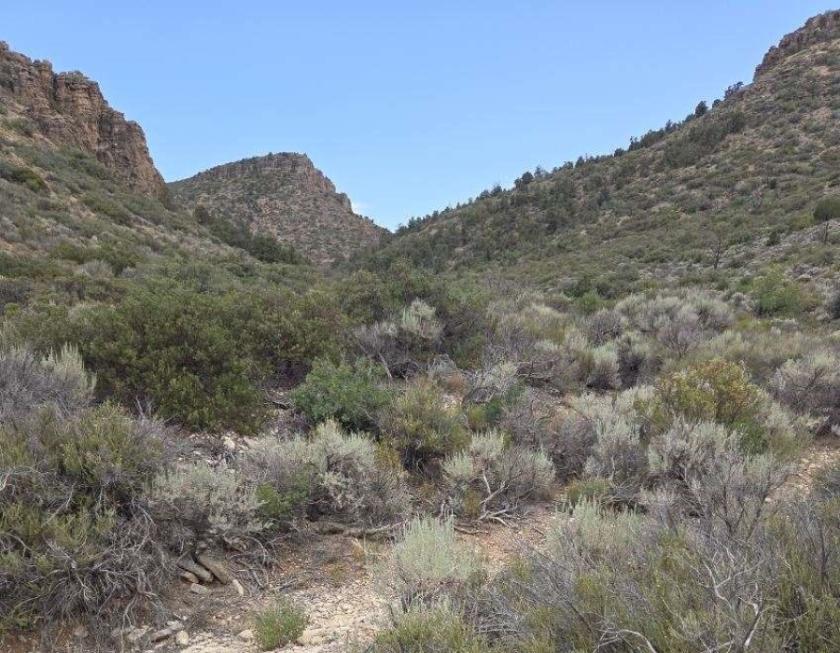 7.95-Acre Residential Land for Sale in Kingman, AZ - $121 Down, $159/mo Owner Financing