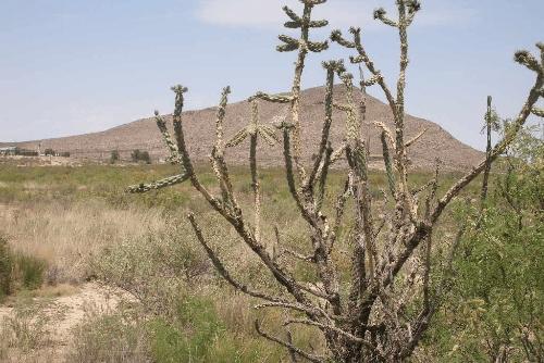 0.32 Acres for Sale in Sierra Blanca, Texas