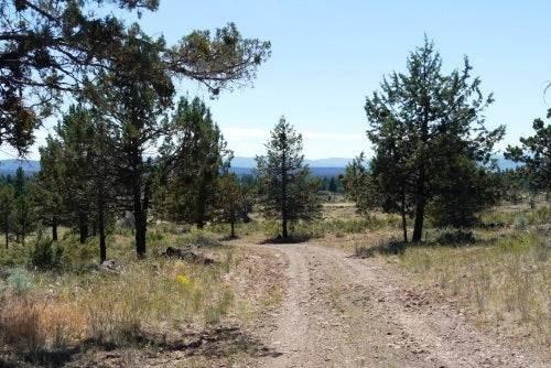 2.44-Acre Residential Land for Sale in Klamath Falls, OR - $1,000 Down Owner Financing