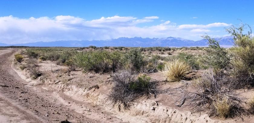 6.68-Acre Residential Land for Sale in Alamosa, CO - $121 Down, $177/mo Owner Financing