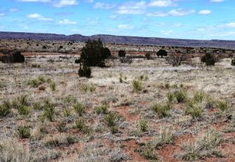 5.18-Acre Waterfront Land for Sale in Cuervo, NM - $121 Down, $224/mo Owner Financing