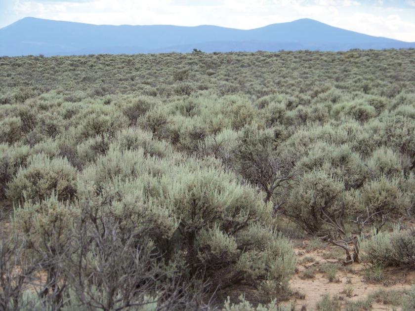 0.9-Acre Residential Land for Sale in Ojo Caliente, NM - $121 Down, $34/mo Owner Financing