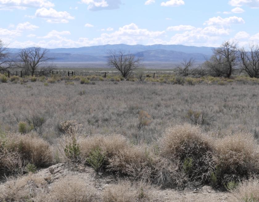 1.5 Acres for Sale in Lovelock, Nevada