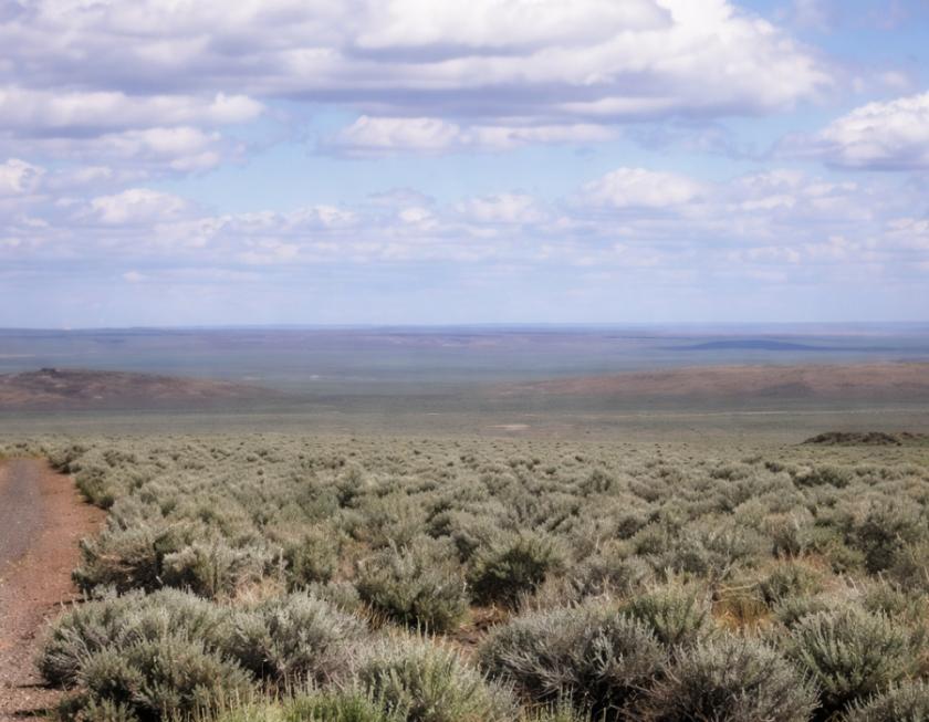 80-Acre Waterfront Land for Sale in Adel, OR - $71,800 | Owner Financing