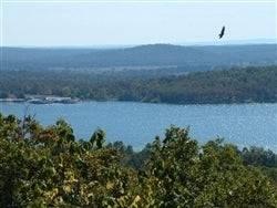 0.31-Acre Residential Land for Sale in Horseshoe Bend, AR - $121 Down Owner Financing