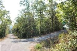 0.36-Acre Residential Land for Sale in Cherokee Village, AR - $121 Down Owner Financing