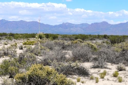 0.5-Acre Residential Land for Sale in Deming, NM - $121 Down, $38/mo Owner Financing