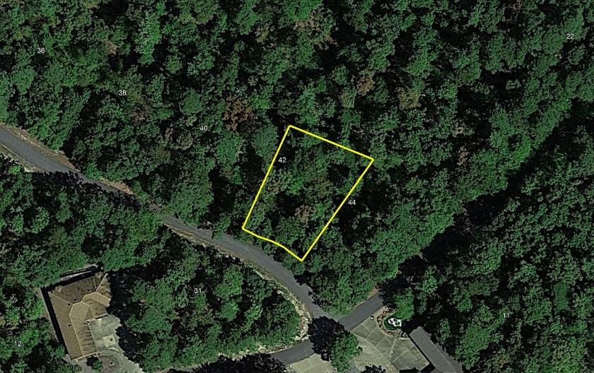 0.28 Acres for Sale in Hot Springs Village, Arkansas
