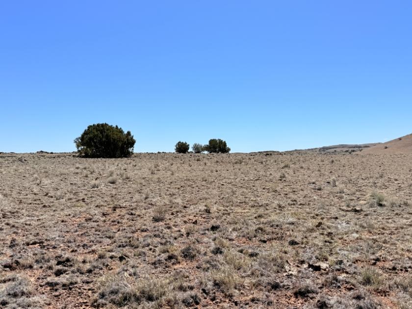 0.89 Acres for Sale in Concho, Arizona