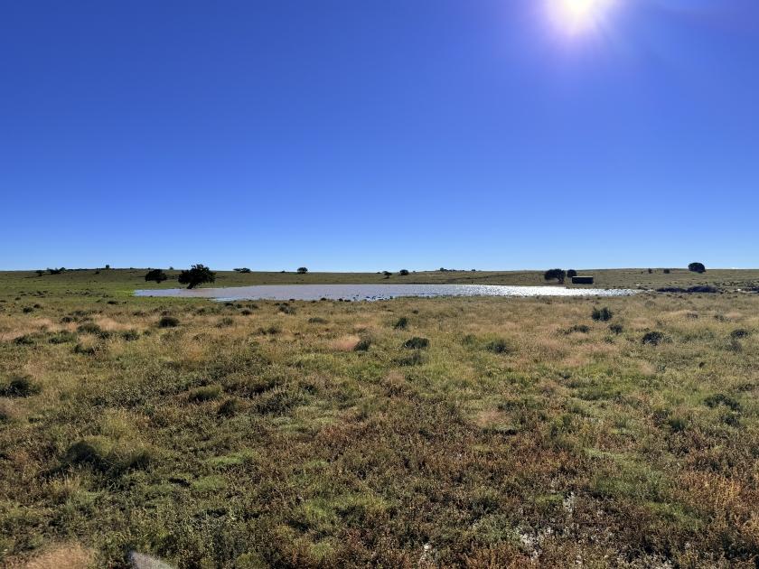 1-Acre Residential Land for Sale in Concho, AZ - $6,500 | Owner Financing