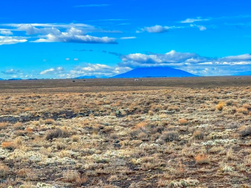 4-Acre Residential Land for Sale in Blanca, CO - $8,500 | Owner Financing