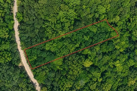 Bracey, VA Land for Sale: 0.93 Acres with Paved Access & City Utilities