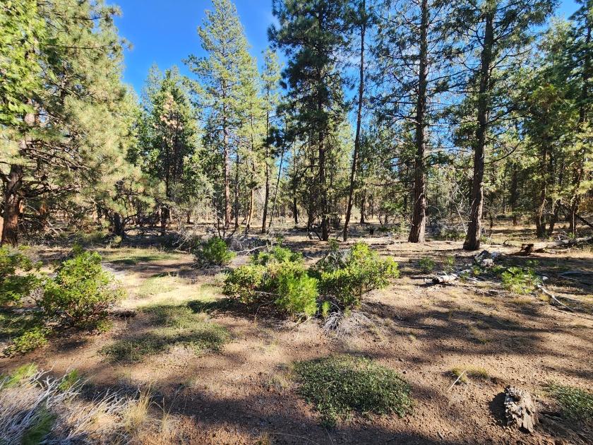 2.31 Acres for Sale in Bonanza, Oregon