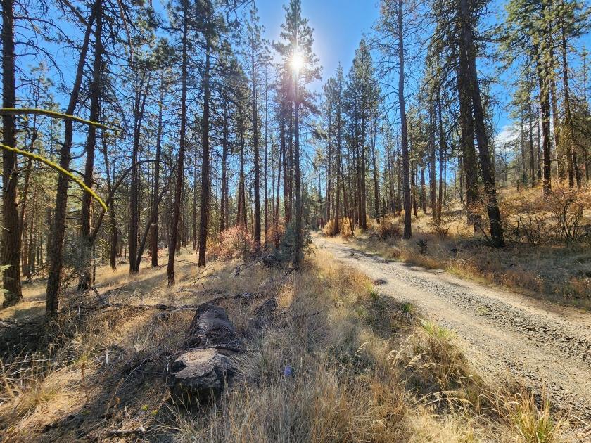 2.09-Acre Residential Land for Sale in Bonanza, OR - $599 Down, $325/mo Owner Financing