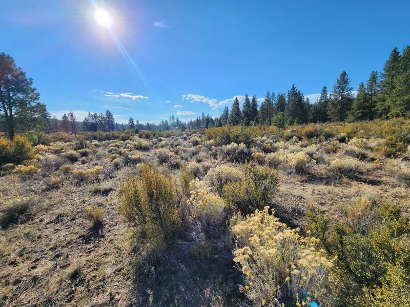 2 Acres for Sale in Bonanza, Oregon