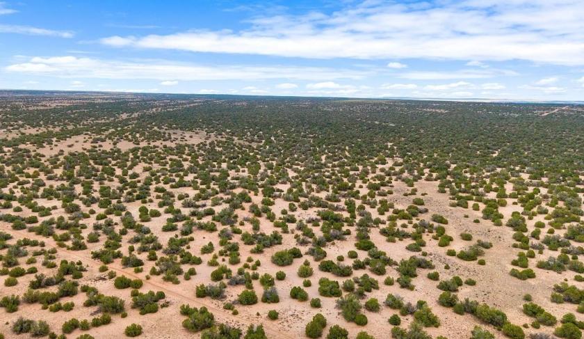 1.05-Acre Agricultural Land for Sale in Concho, AZ - $9,995 | Owner Financing