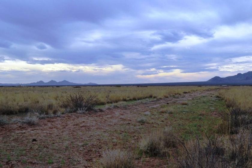 2-Acre Residential Land for Sale in Deming, NM - $121 Down, $120/mo Owner Financing