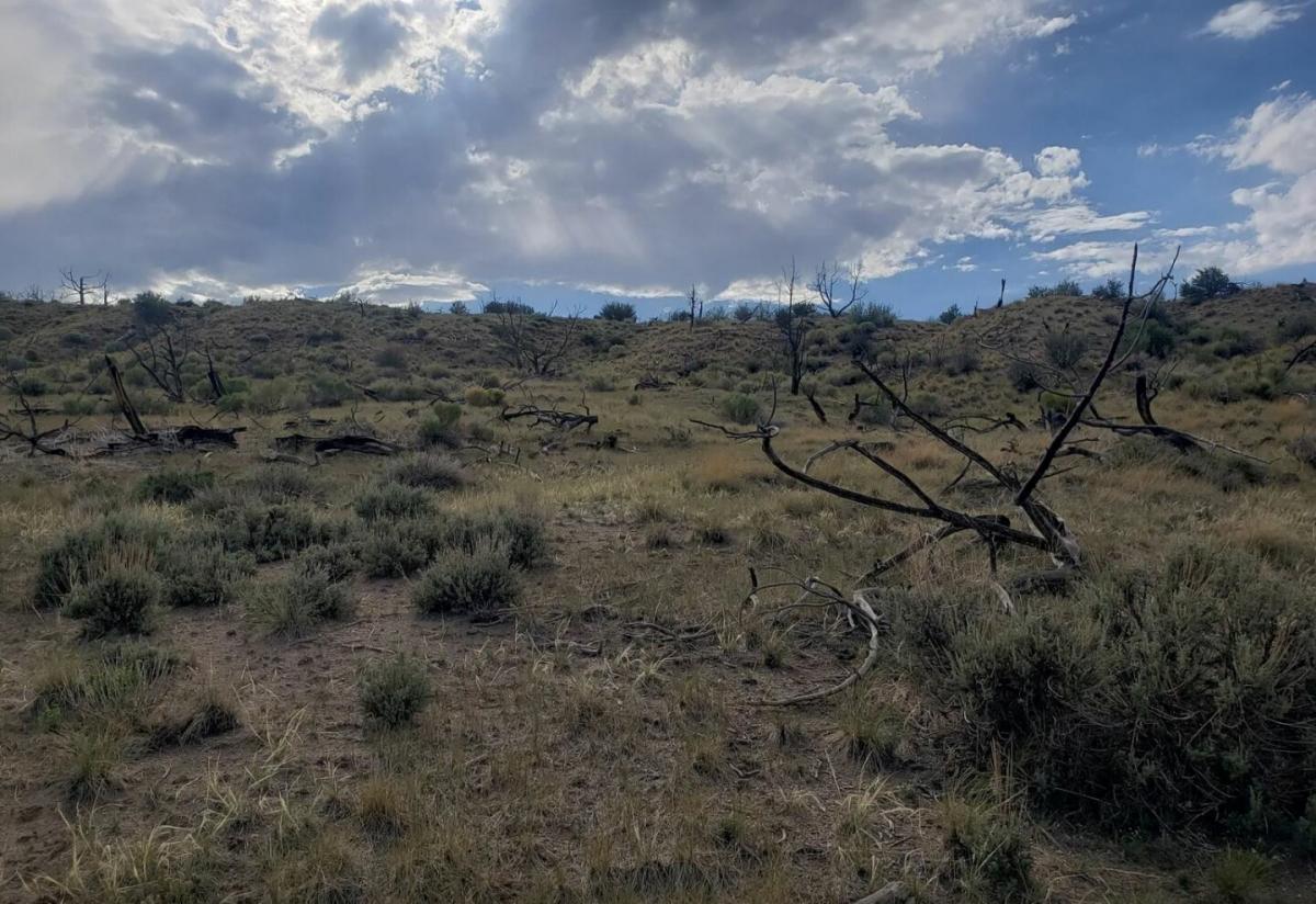 40 Acres for Sale in Strawberry, UT