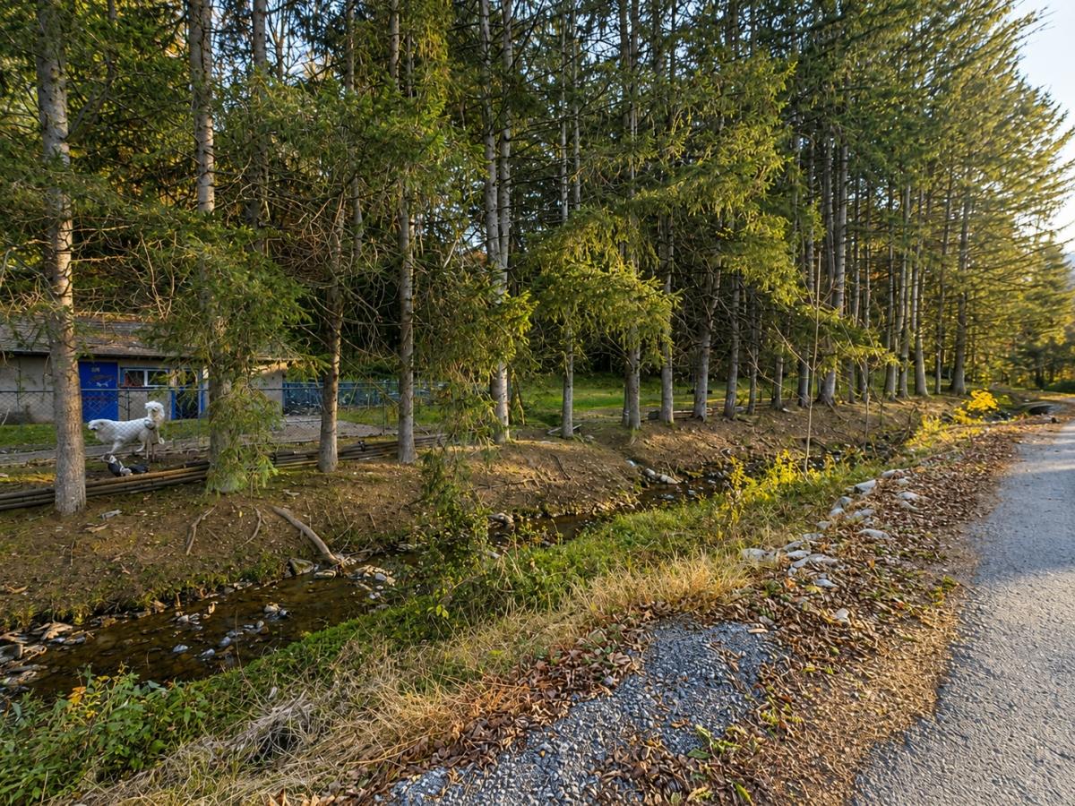 3.58 Acres for Sale in Mount Clare, WV