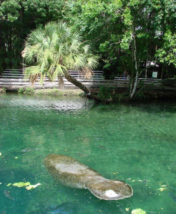 Florida Land Century